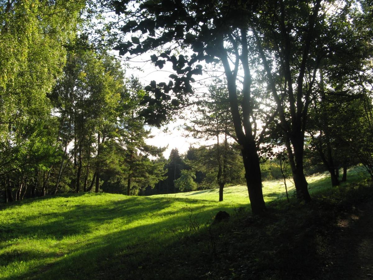 Gozdarjeva Koca Nad Rimskimi Toplicami Villa Dol pri Hrastniku Esterno foto